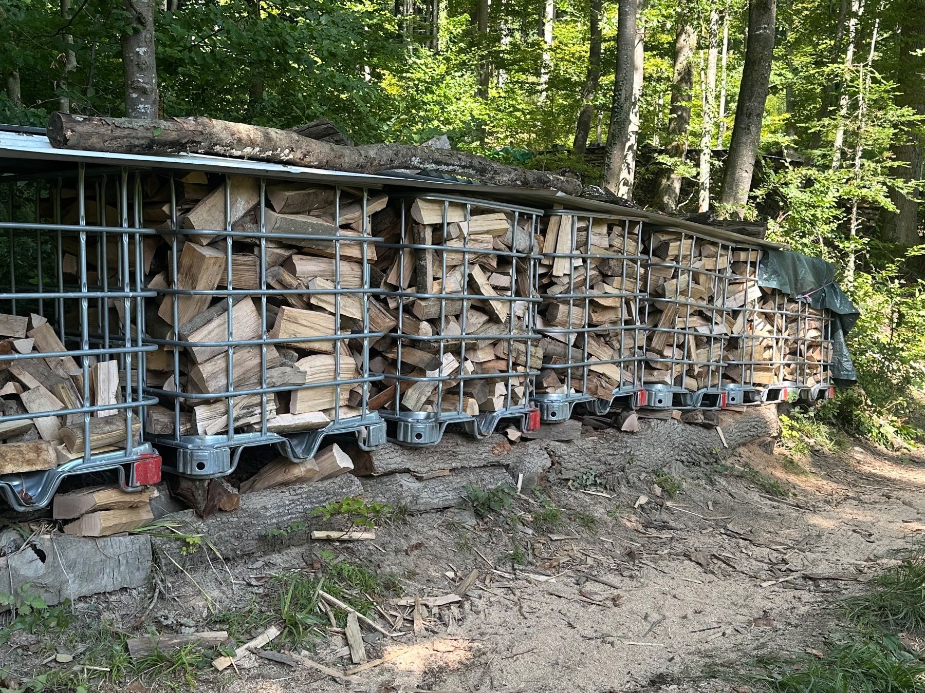 Articoli in legno: Brennholz / Cheminéeholz – Nuovo (secondo la descrizione) da Subingen venduto da PaMuri 6