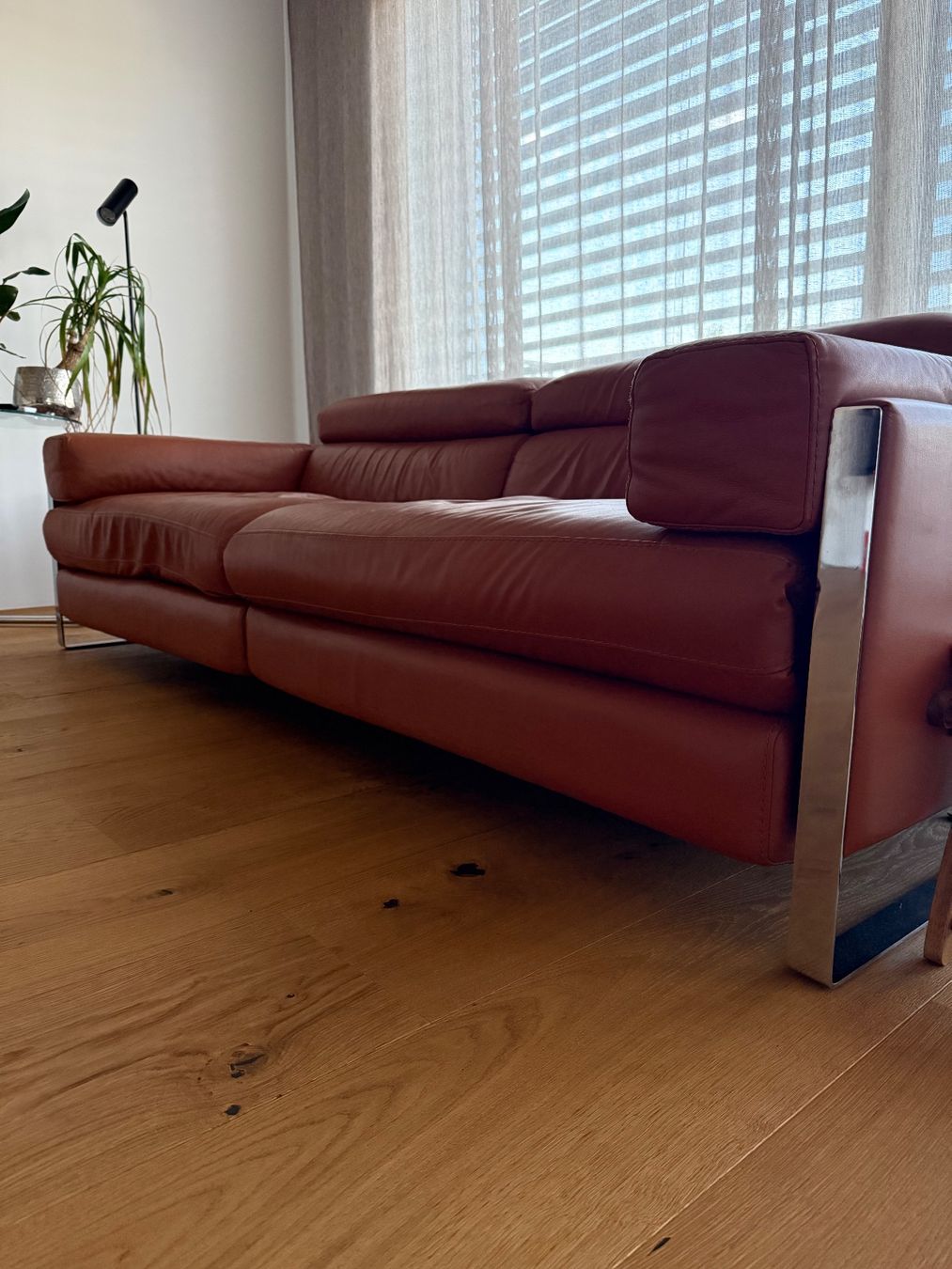 Divani: Sofa von Calia Italia – Usato da Wintersingen venduto da chiwy 5