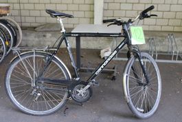 Velo 12