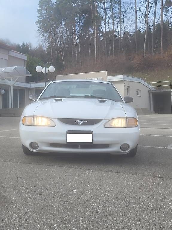 Automobili: Ford Mustang SVT Cobra – Usato da Payerne venduto da reg_8pvb