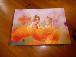 Lot de 3 albums photos neufs