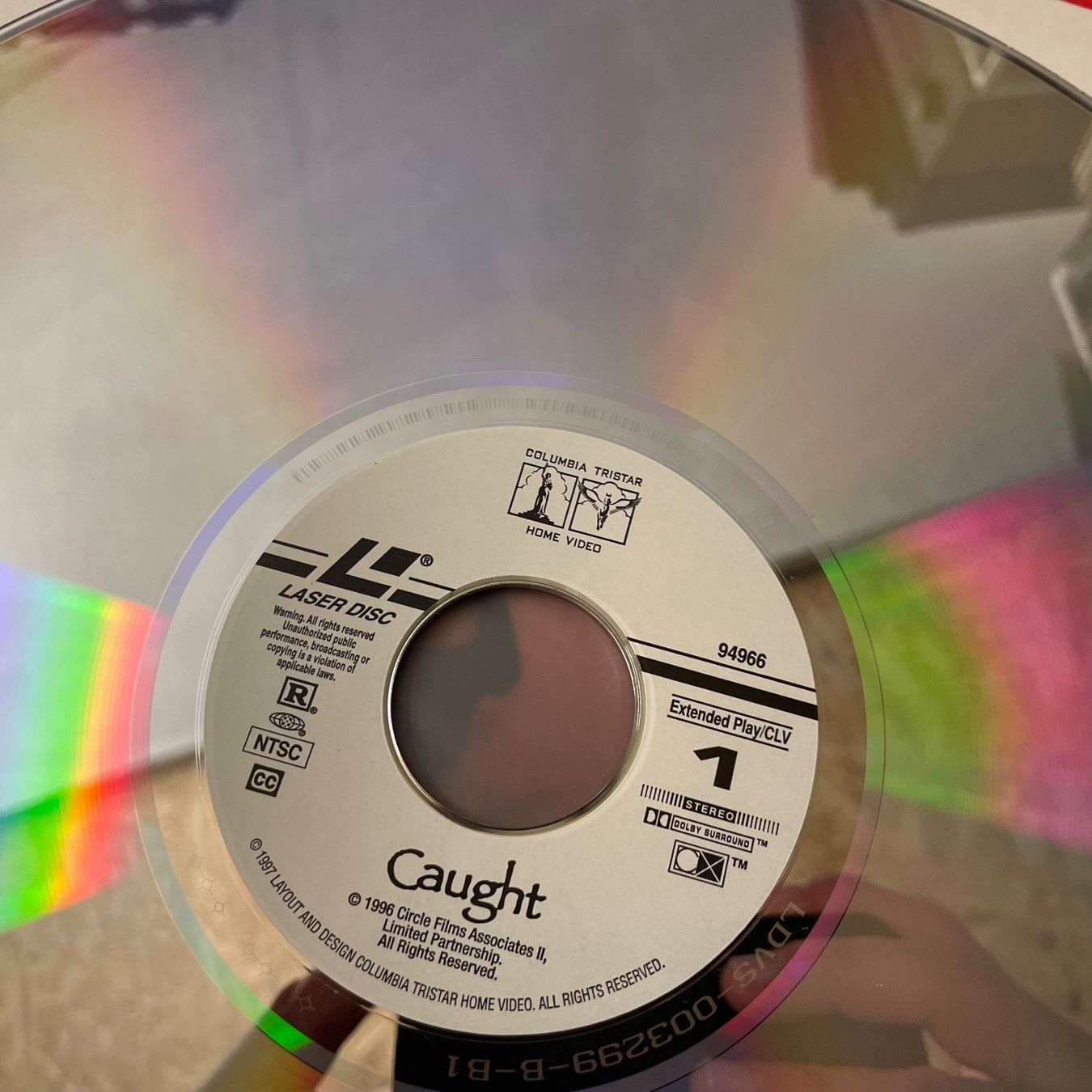 Tous les DVDs: Robert M. Young: CAUGHT - LASER DISC - Englisch Orig. – D'occasion à Stans par Brode 2
