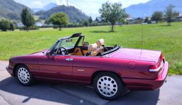 Alfa Spider 2.0 MFK Veteran gar. 57'000 km ab 1 Franken