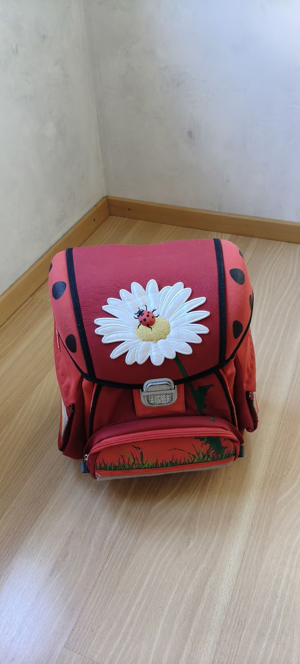 Ergobag Borse & Zaini: Ergobag step by steb – Usato da chur venduto da monita07