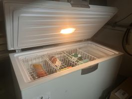 Beko Gefriertruhe HSA 29530 C270++ 288 Liter guter Zustand
