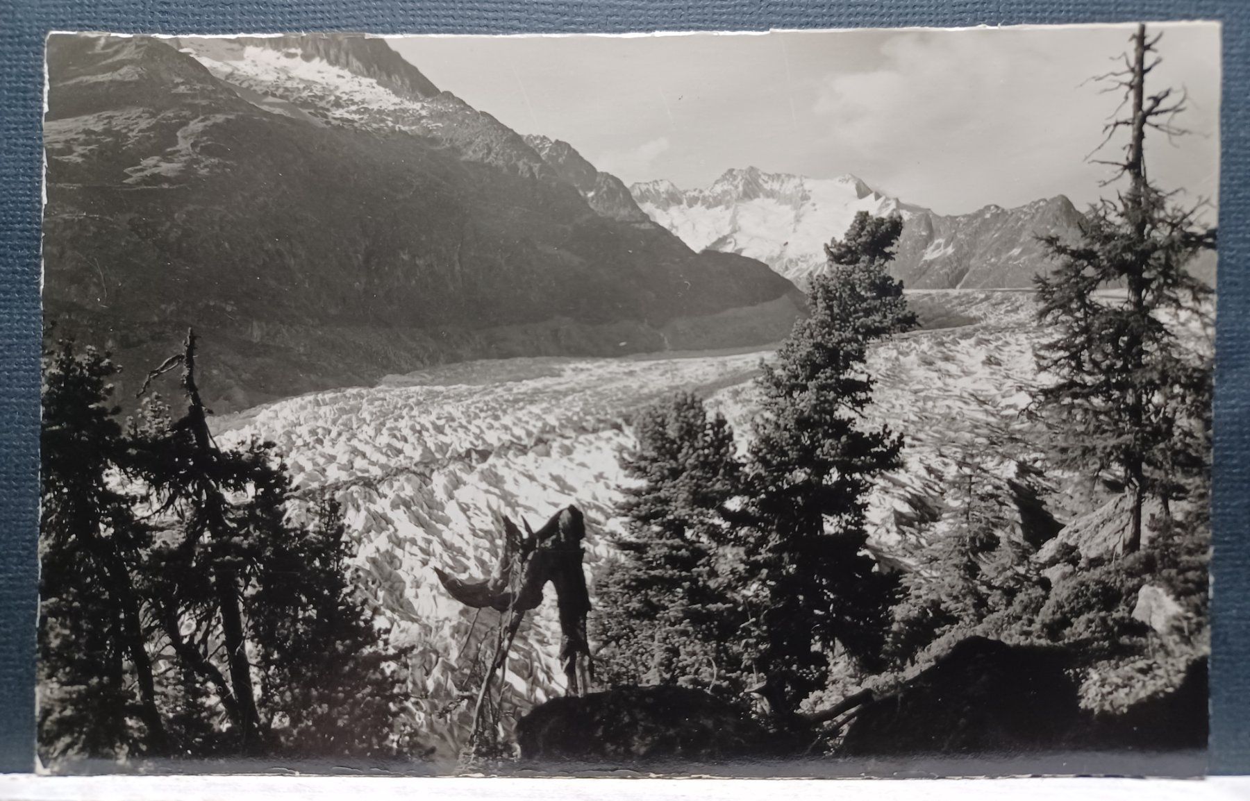 Cartes postales: VS, Aletschgletscher – D'occasion à Aarau Rohr par mgvw