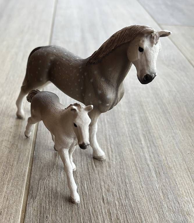 Statuette: Schleich - figurines chevaux – Usato da Les Pontins venduto da galaud 3