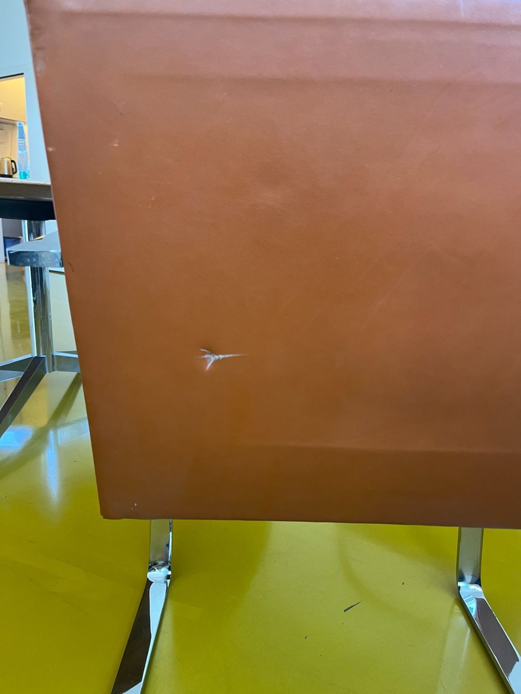 Set di tavolo e panche: Knoll Tisch mit 6 Knoll Freischwinger – Usato da Zürich venduto da ReaEggli 8