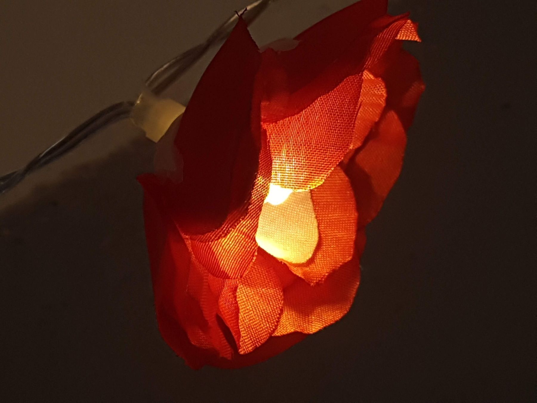 Ghirlande e barre luminose: Lichterkette mit 10 Blumen, batt.betr. – Nuovo e nell'imballaggio originale da Ettingen venduto da Maranathatalitha 3