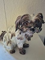 Bologneser Hund Meissen 1910, Joachim Kändler