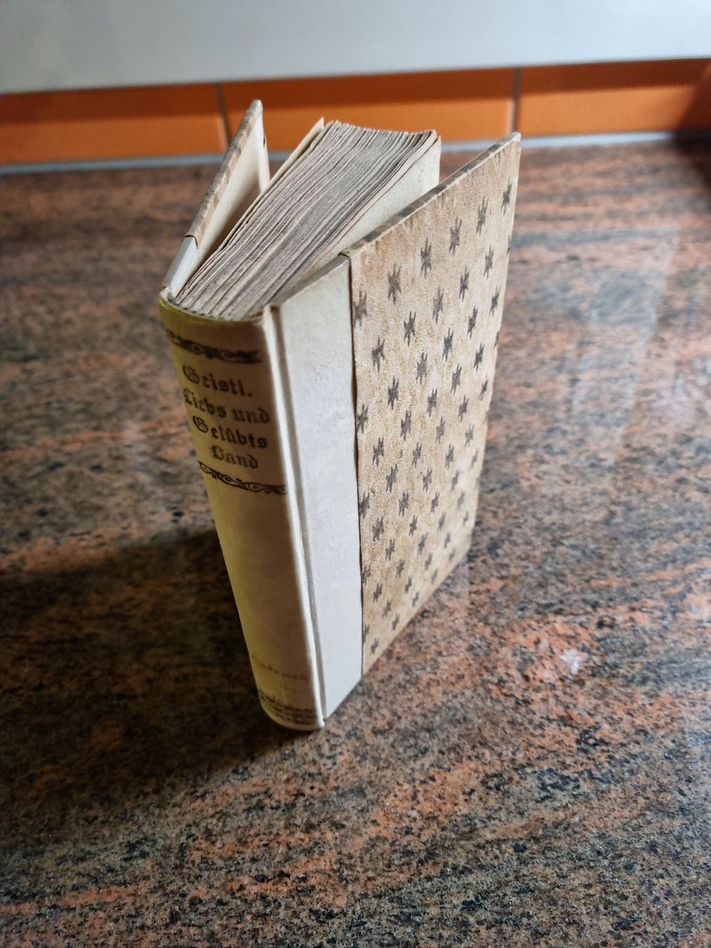 Libri: Einsiedeln 1718 Adam Rupert Schädler – Usato da Trachslau venduto da post35