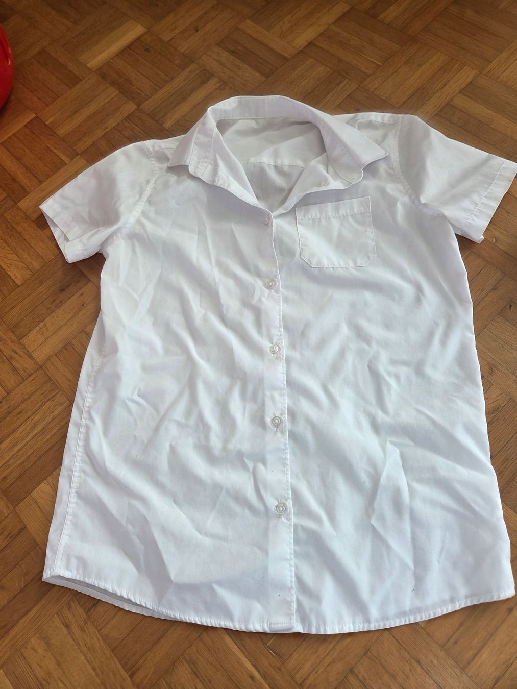 Camicette: 2 Blusen Gr. 158 – Usato da Basel venduto da grandfamily 1