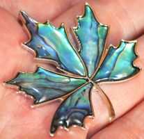 Anhänger oder Brosche L-5500 – Abalone Ahornblatt 4,5x4,5cm