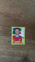 Panini Sammelkarte Tomas Soucek wie neu