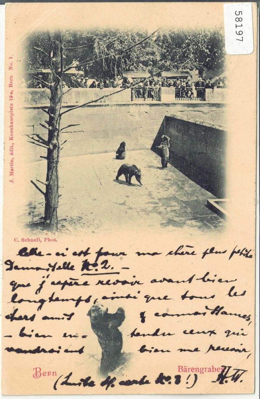 Cartoline postali: Bern - Bärengraben 1899 – Usato da Ettingen venduto da Kartenplanet