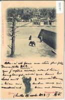 Bern - Bärengraben 1899