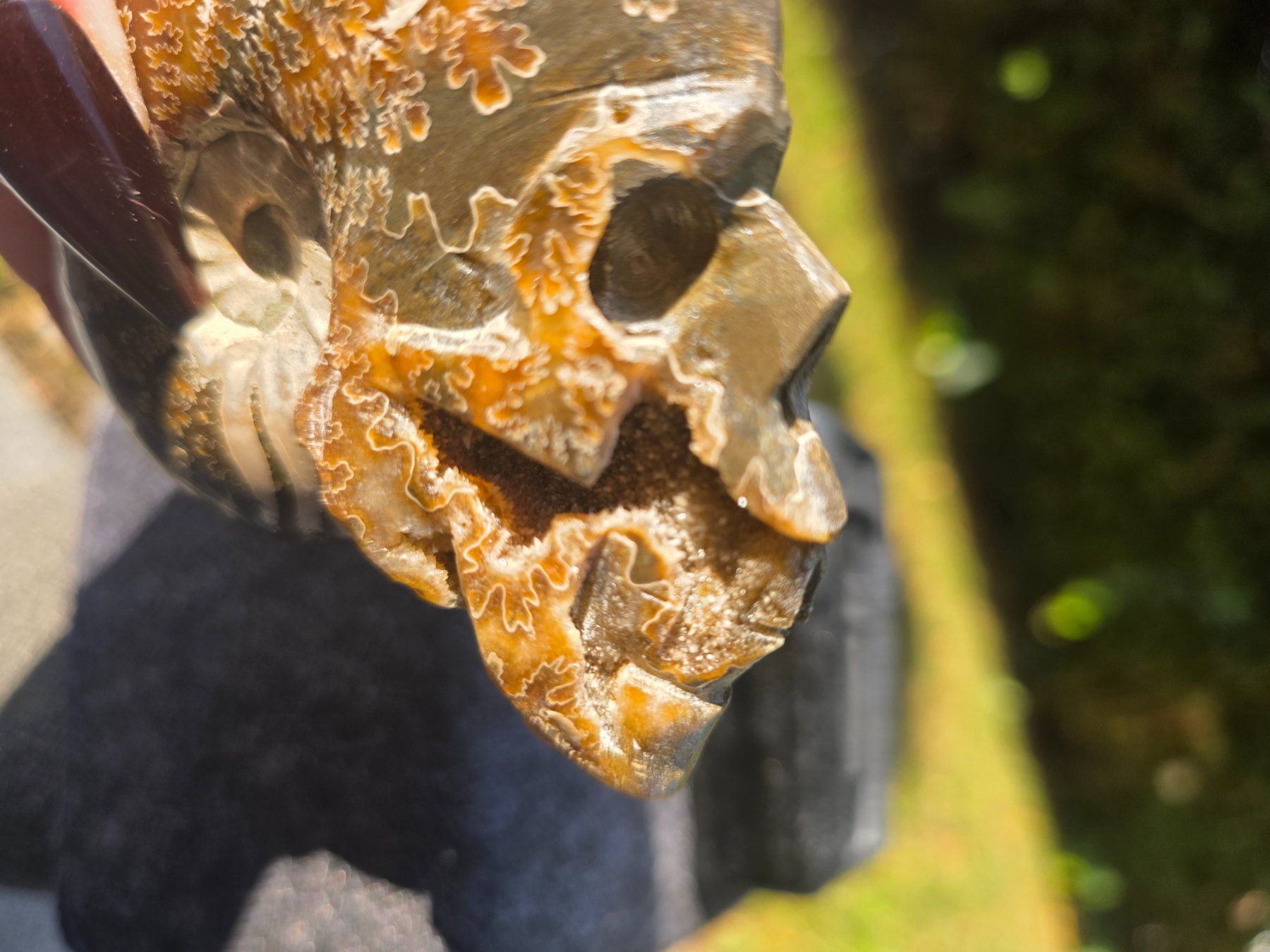 Fossilien: 🐚💀 Ammonit-Schädel Schnitzerei – Neu und originalverpackt aus Matzingen von Shay_Crystalz 2