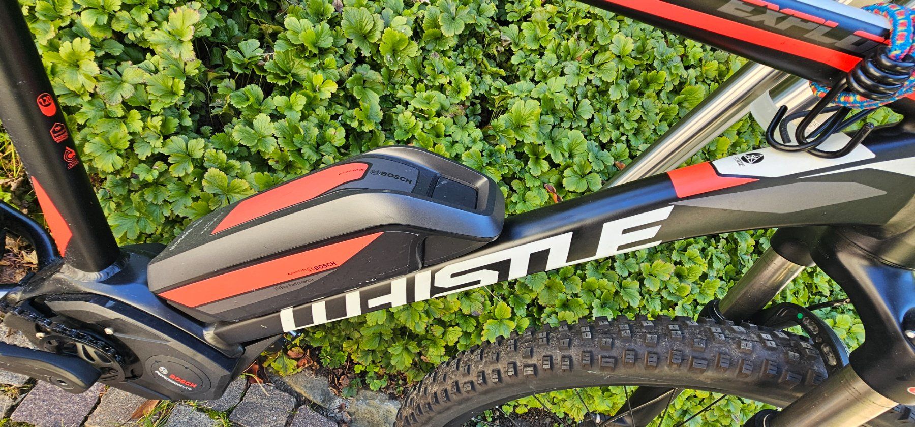 Biciclette: E-Mountainbike – Usato da St. Gallen venduto da 62_Kaiser 3