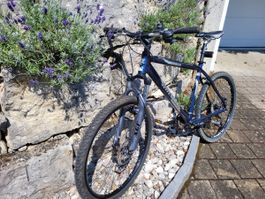Wheeler Pro 59 Mountainbike blau gebraucht
56