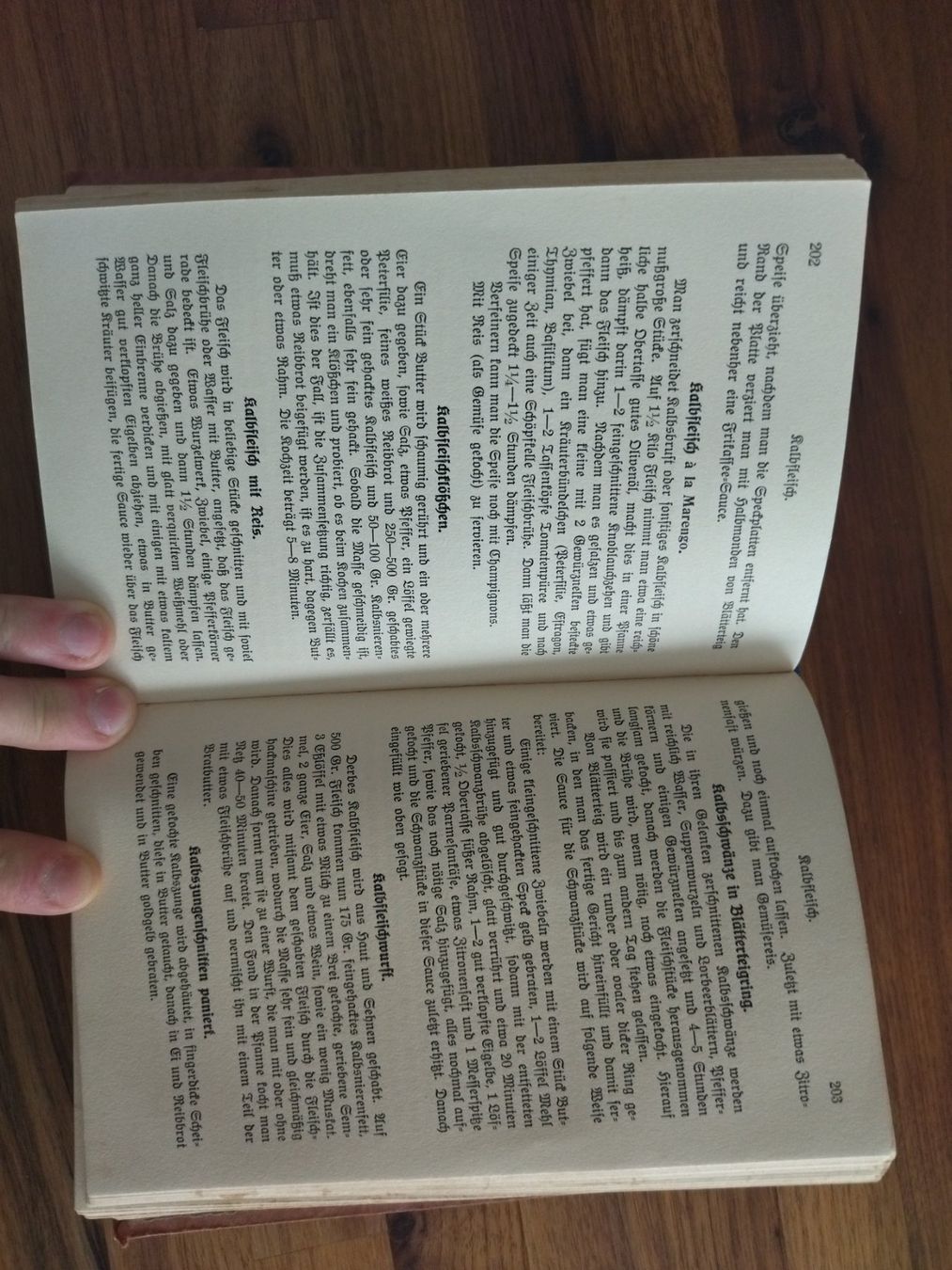 Libri: Kochbuch antik 1913 – Usato da Felben-Wellhausen venduto da bananajoe8474 4