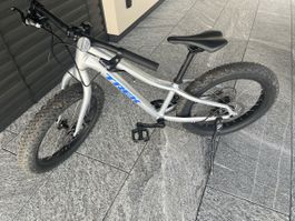 Trek Roscoe 20 Zoll