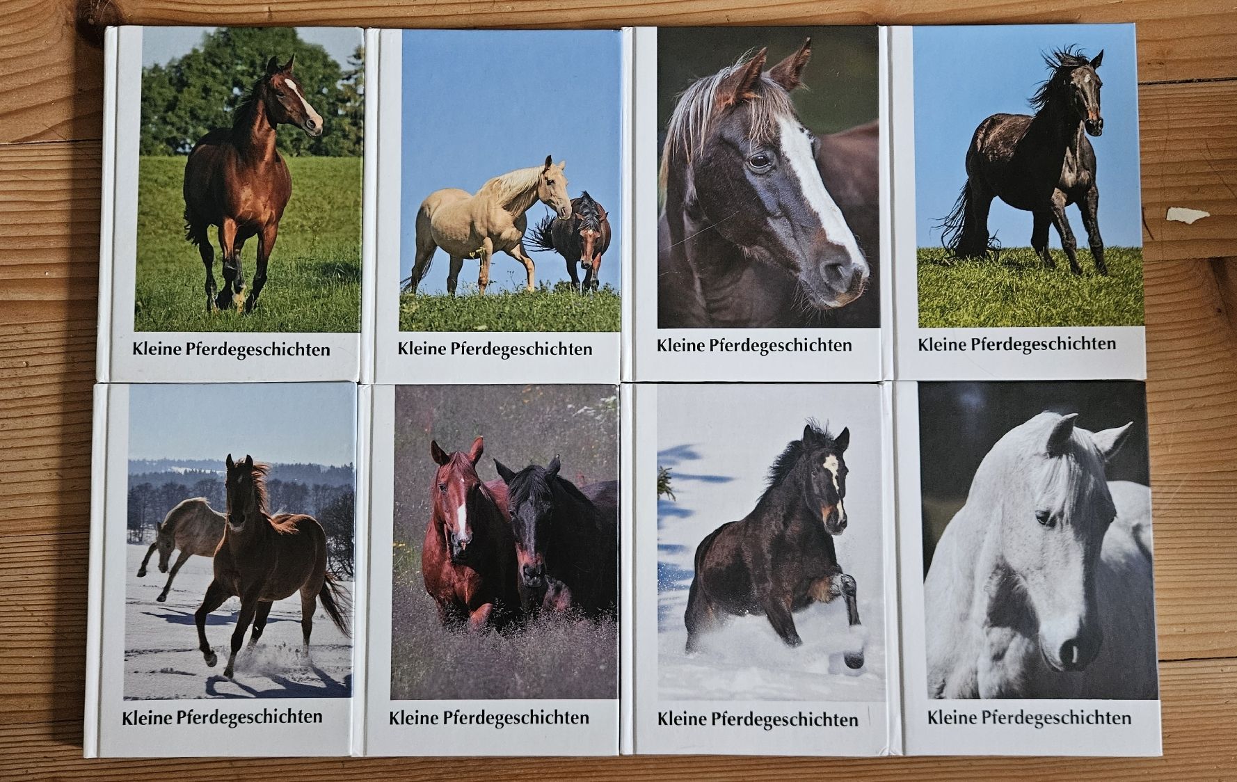 Libri: 8 Pferdegeschichten – Usato da Bern venduto da Snowflake38