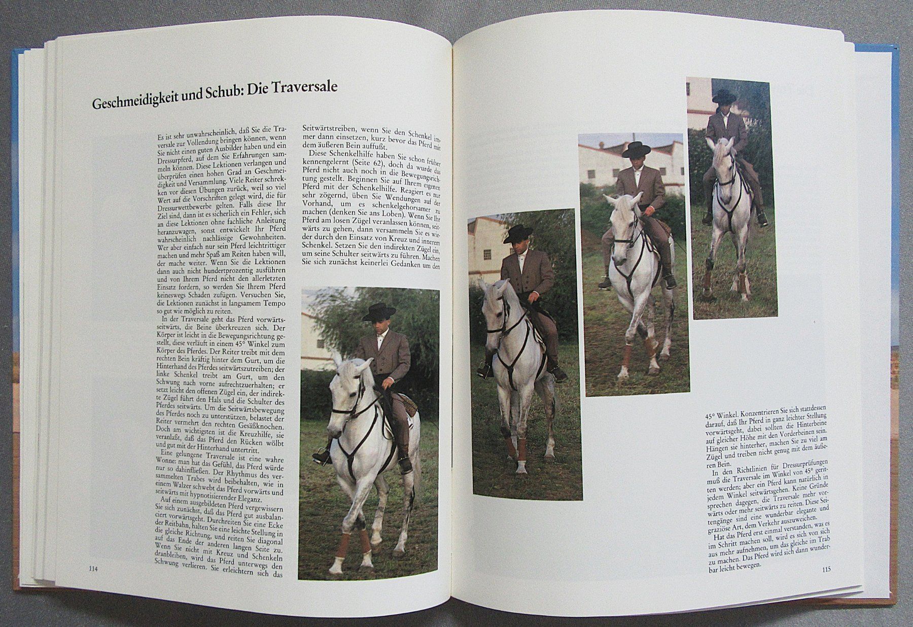 Libri: Reiten - perfekt gelernt - moderne Reitlehre – Usato da Auenstein venduto da Padabimbim 7