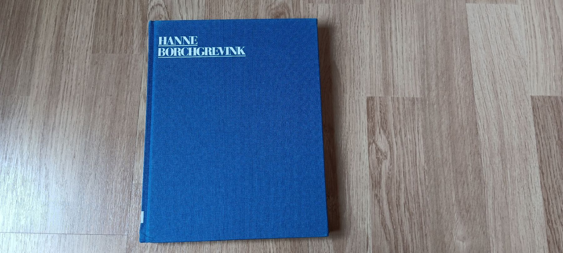 Libri: Hanne Borchgrevink Buch Ausstellung 2011 – Usato da Chur venduto da chr_b2cn