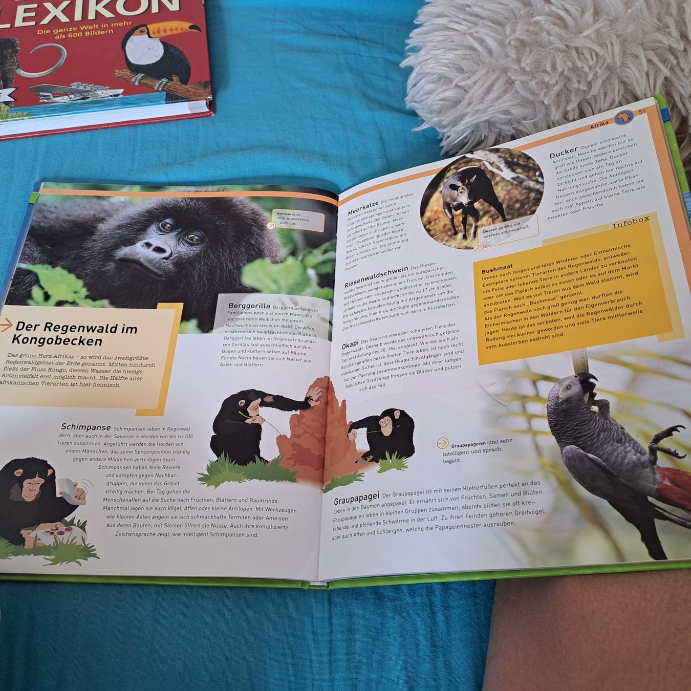 Libri: Tiere der Welt – Usato da Unterentfelden venduto da Miro-Lou 2