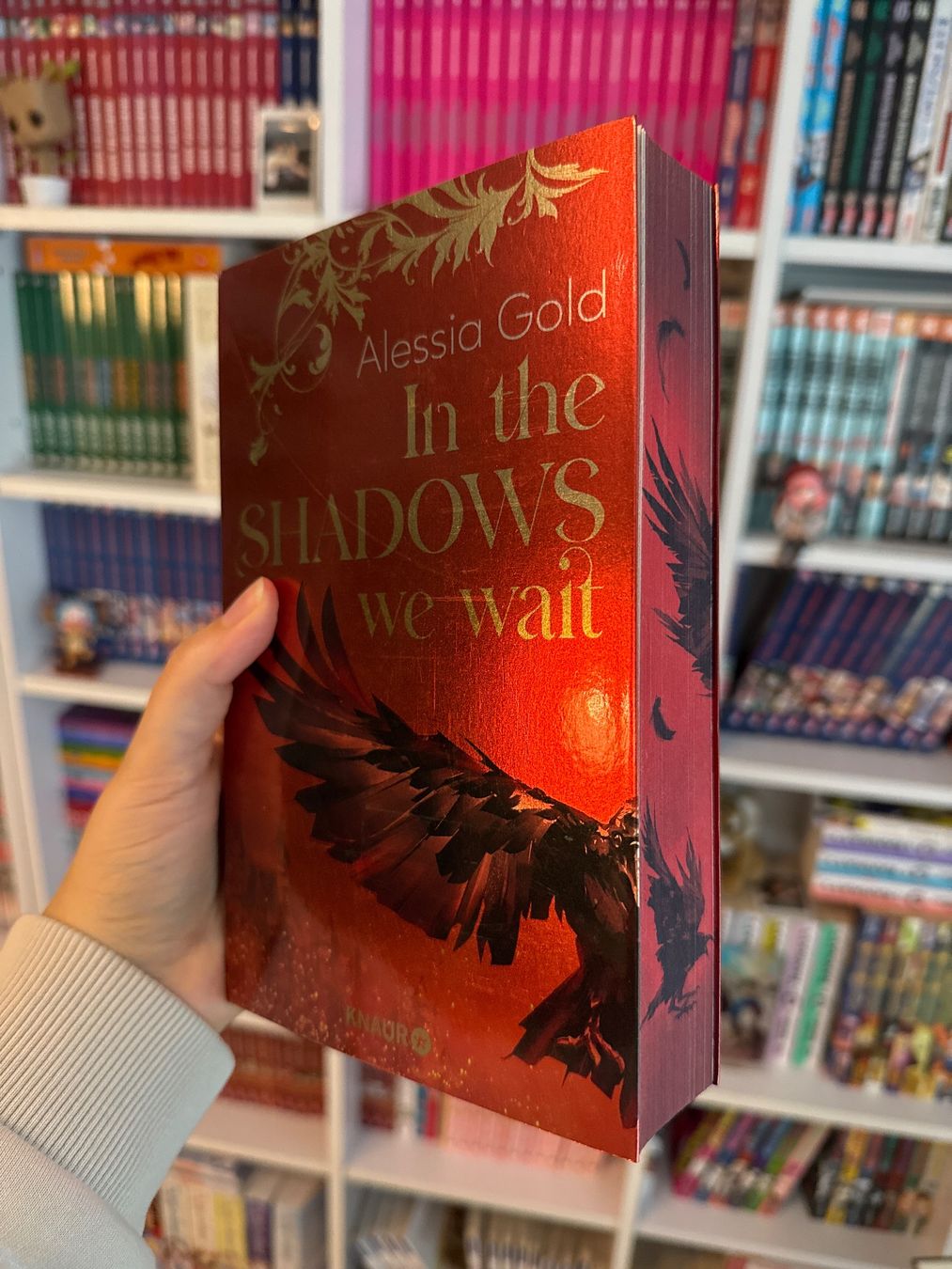 Livres: In the Shadows we wait - Farbschnitt Romantasy – D'occasion à Netstal par Claudia.gl