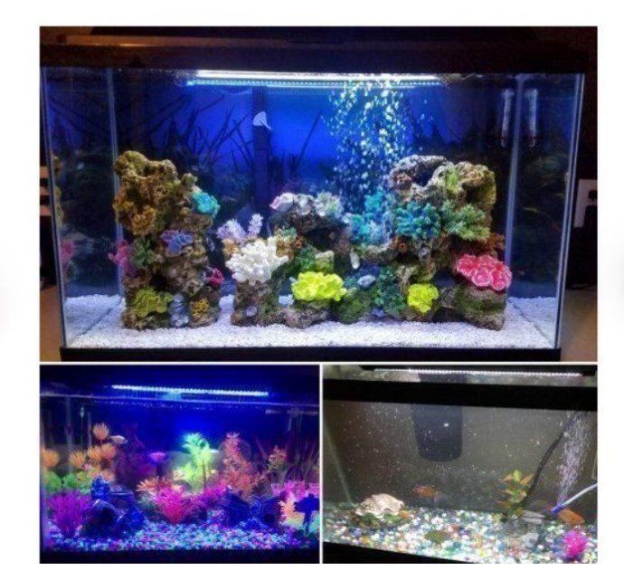 Lampade: LED Aquarium Beleuchtung – Nuovo e nell'imballaggio originale da Amriswil venduto da Ravinvida 2
