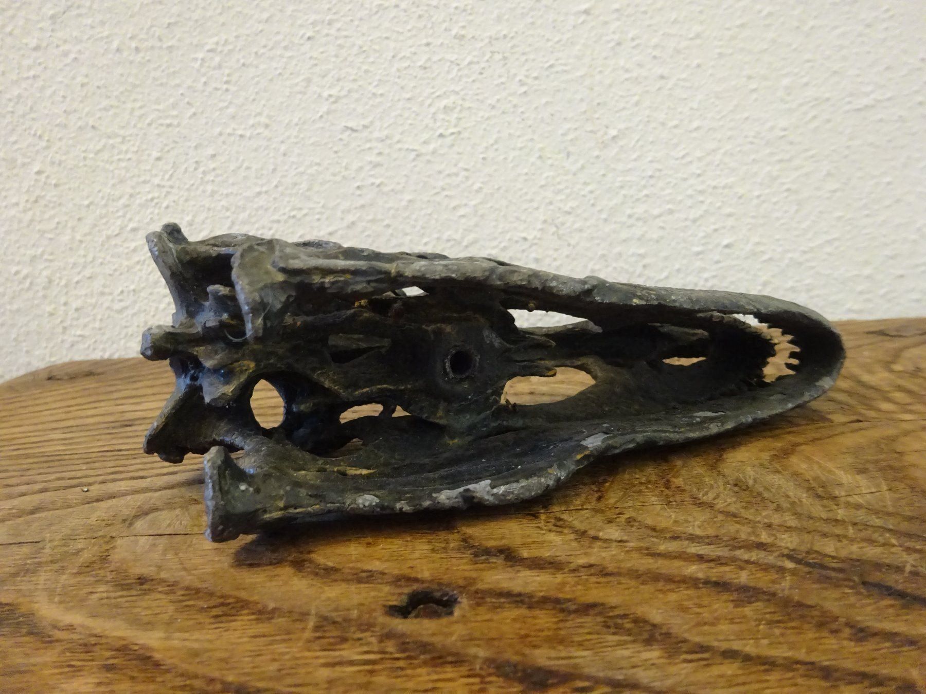 Fossili: Skulptur Schädel Saurier – Usato da Esslingen venduto da eintagammeer 6