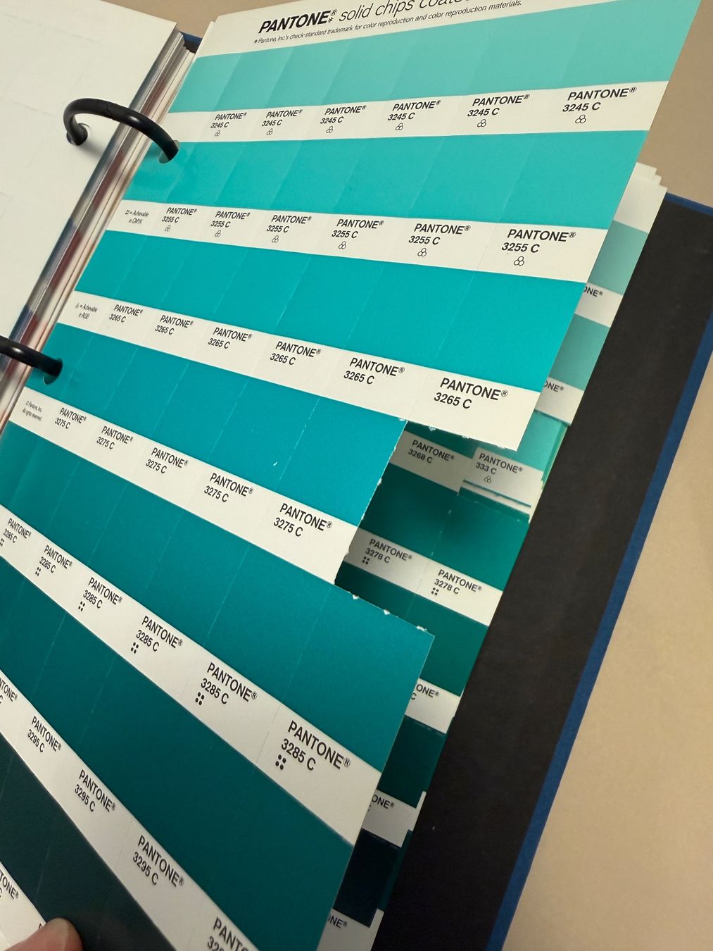 Libri: Original Pantone SOLID CHIPS Farbkarten set coated /uncoated – Usato da Zürich venduto da Ivo75 4