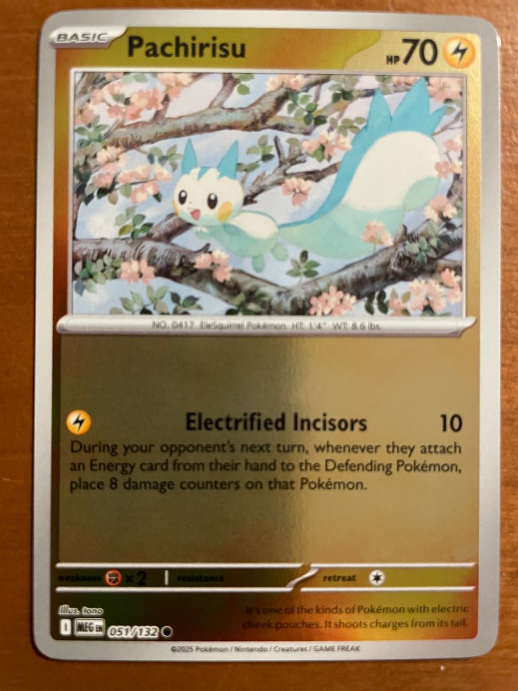 Pokémon Carte collezionabili: Pokemon Pachirisu Reverse (Versand gratis) – Nuovo (secondo la descrizione) da Chur venduto da Angerson