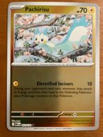 Pokemon Pachirisu Reverse (Versand gratis)