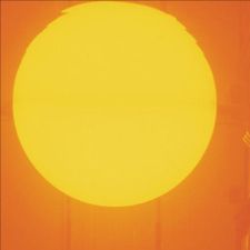 Profile image of L-ea