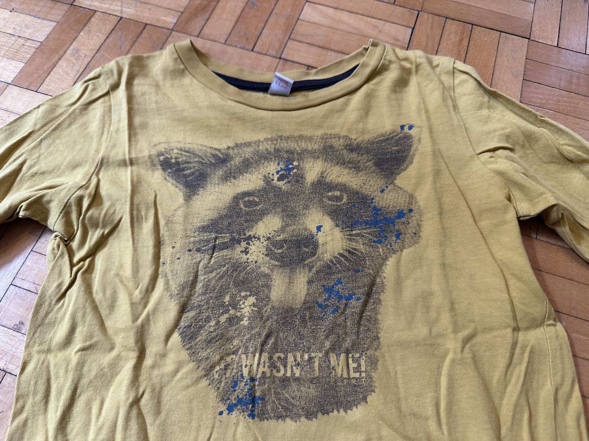 Esprit Maglioni & Felpe: Langarmshirt Esprit 104/110 – Usato da Zürich venduto da Paleardi 1