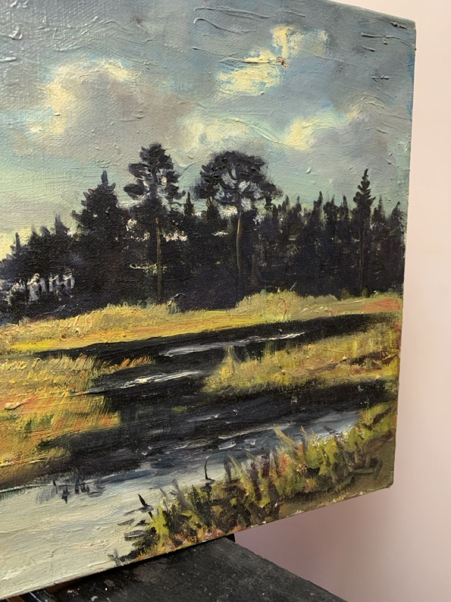 Tableaux: Landschaftsgemälde – Défectueux à Wolfhalden par SecondAntique 4