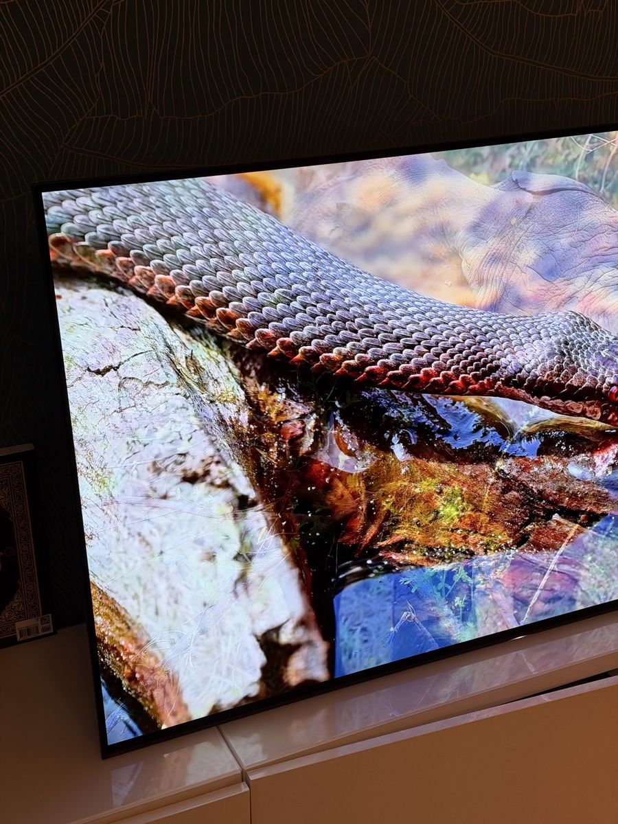 Sony Televisori: Sony bravia oled 55  – Nuovo (secondo la descrizione) da Cointrin venduto da res_nvs8 6