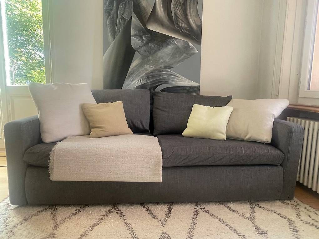 Sofas: Bettsofa Flexform – Gebraucht aus solothurn von mar_h8mh