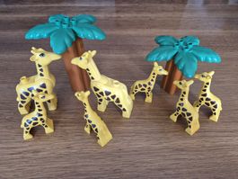 Duplo Set Giraffen (Y322)