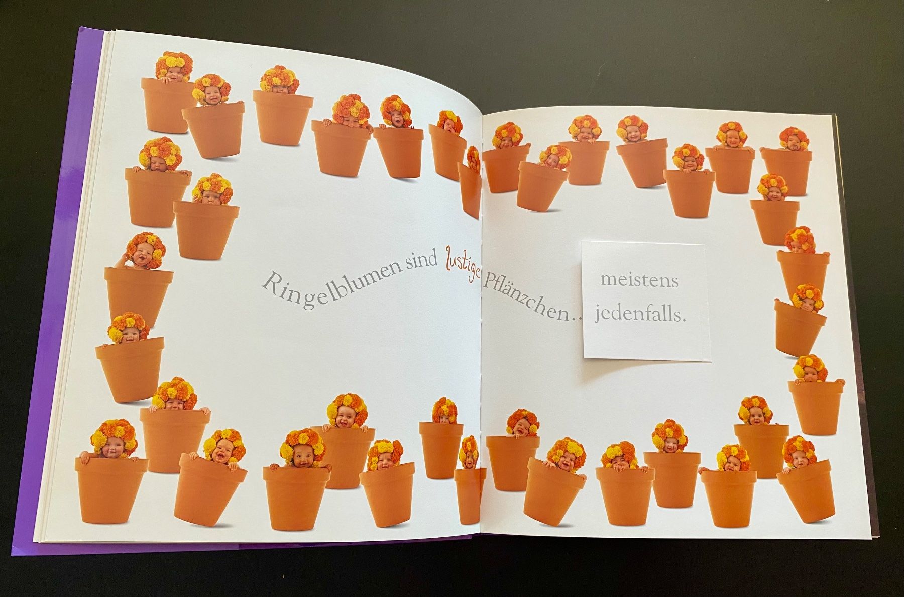 Libri: DRUNTEN IM GARTEN / ANNE GEDDES – Usato da Nussbaumen AG venduto da schuba2000 5