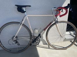 Dromarti steel is real leichtester Stahlrahmen! mit SRAM red