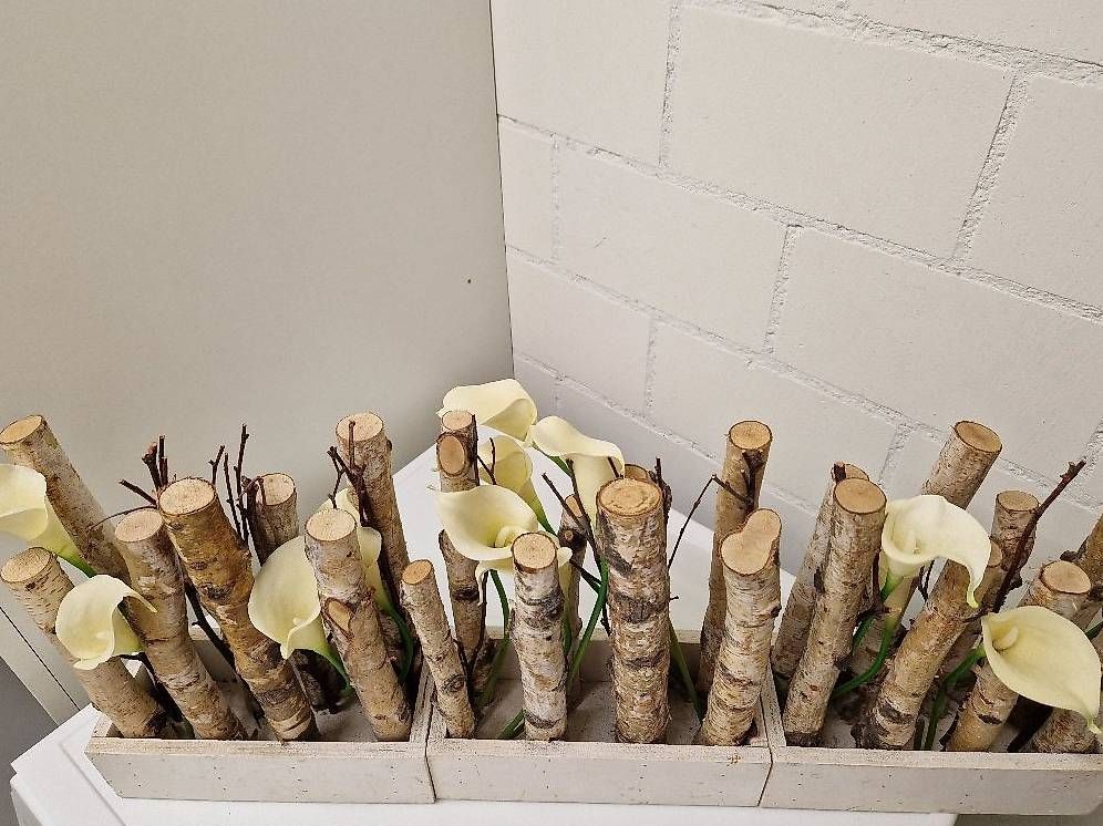Tutte le decorazioni: Moderne Deko mit Birkenholz, und Blumen. – Usato da Felben-Wellhausen venduto da calalu 3