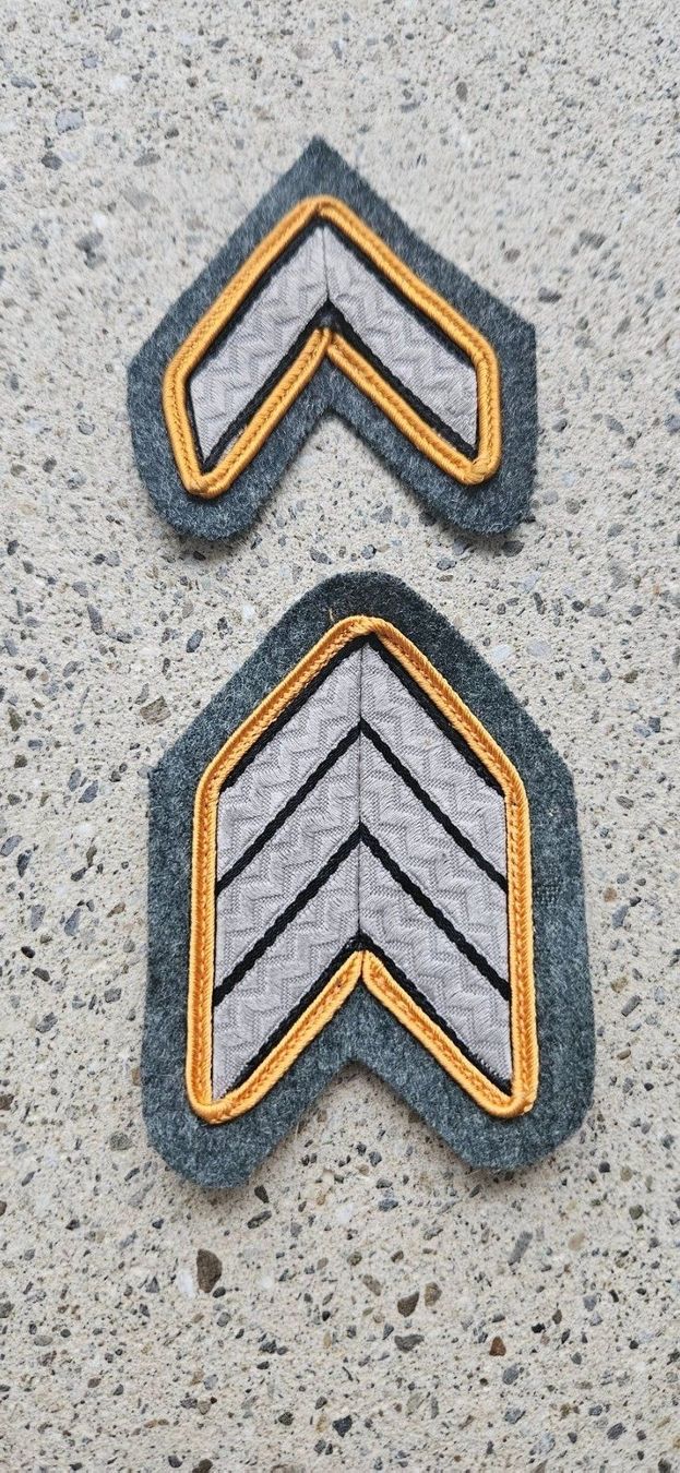 Schweizer Armee Placchette & Badge: *** Militär Abzeichen *** – Nuovo e nell'imballaggio originale da Riedholz venduto da fr_sIruP