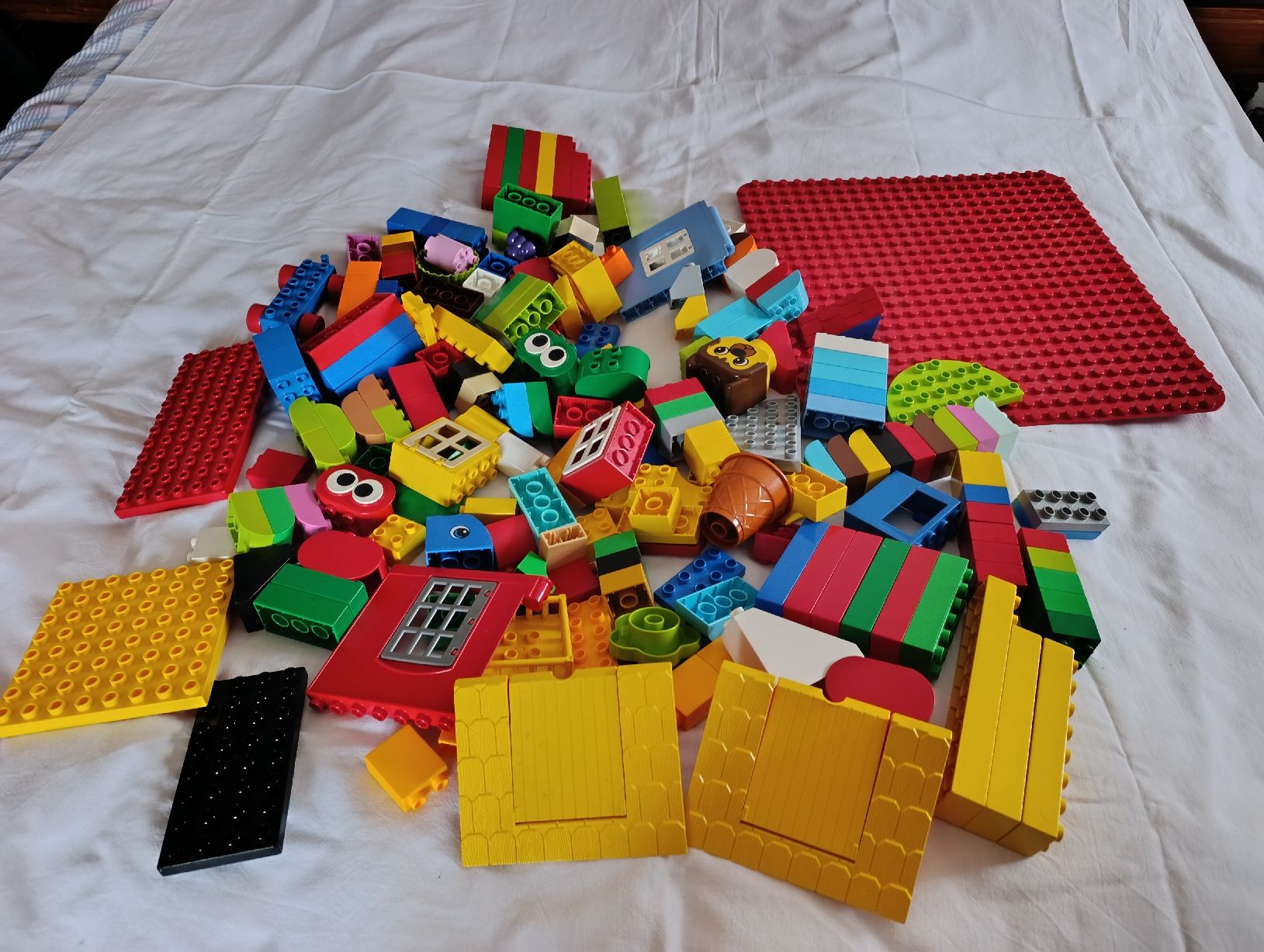Lego Jouets: Lego Duplo 200 Bausteine mit Platten – D'occasion à Oberarth par sil_9dfs 1
