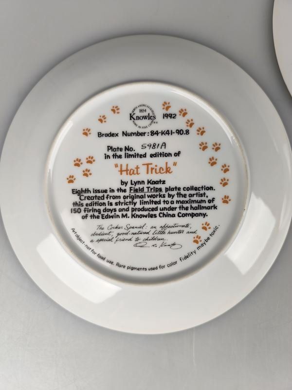 Piatti: 3er Set Sammelteller Hunde – Usato da Rüti ZH venduto da Restwert_Rueti_ZH 4
