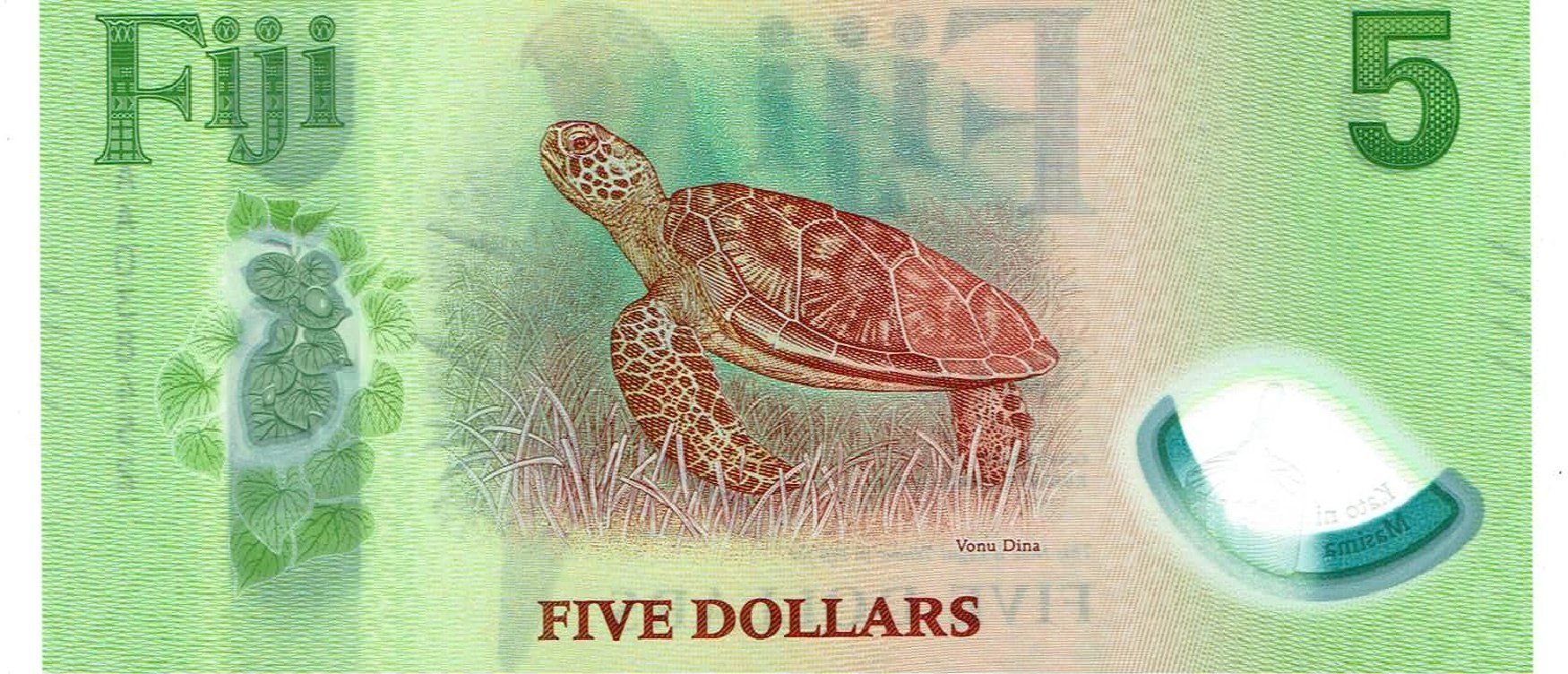 Banconote: Fiji 5 Dollars ND P-New Polymer UNZ – Nuovo (secondo la descrizione) da Steffisburg venduto da ber_8htf 1