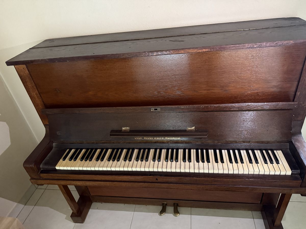 Strumenti musicali: Klavier Waldkirch – Usato da Horriwil venduto da Carrera68