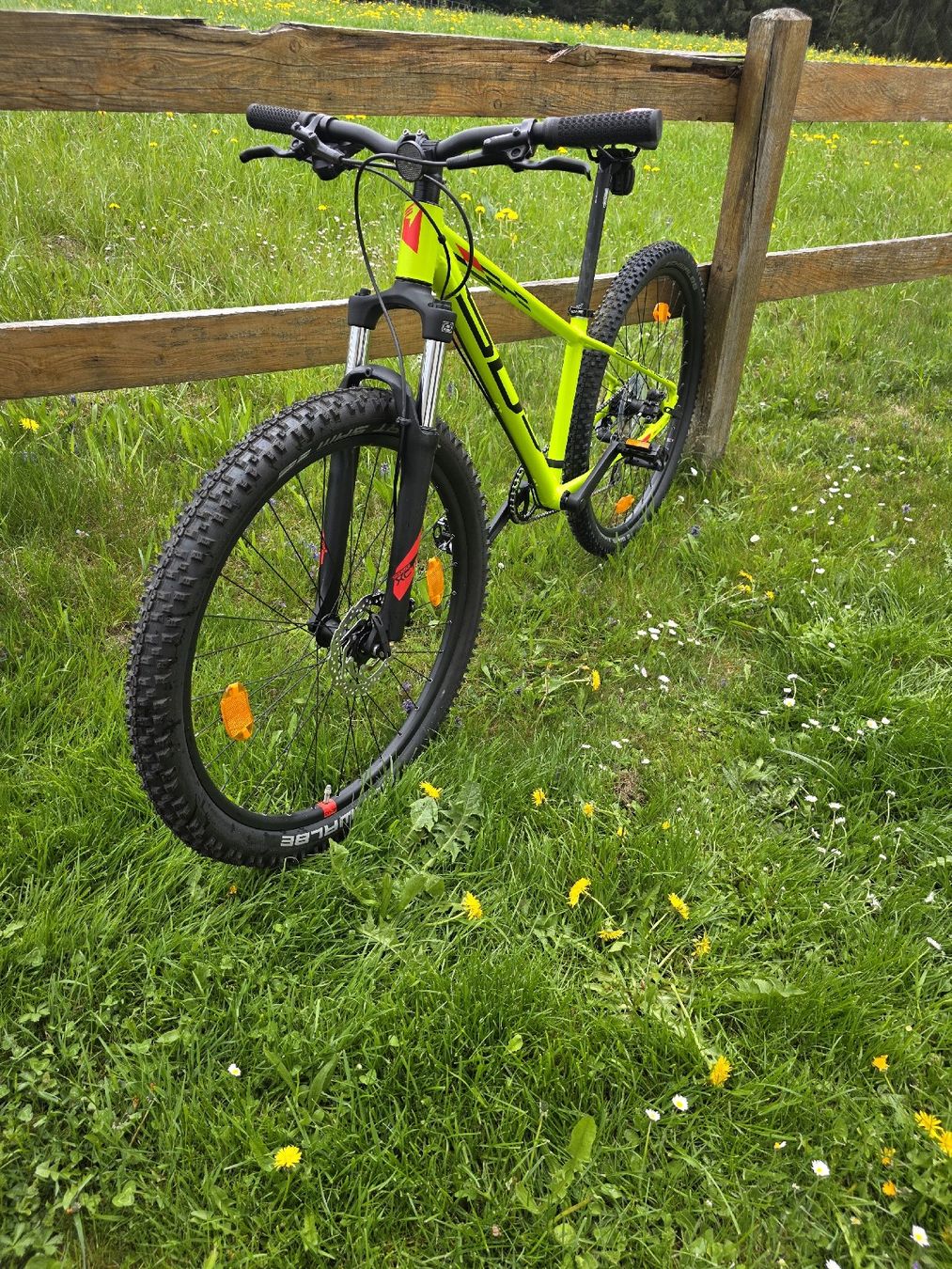 Biciclette: Racer CX27 – Nuovo (secondo la descrizione) da Rehetobel venduto da maic21